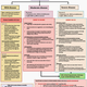A flow-chart showing the treatment protocol for Covid-19 in India